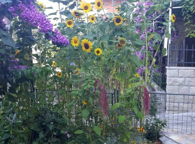 Buco And Mare アパート *